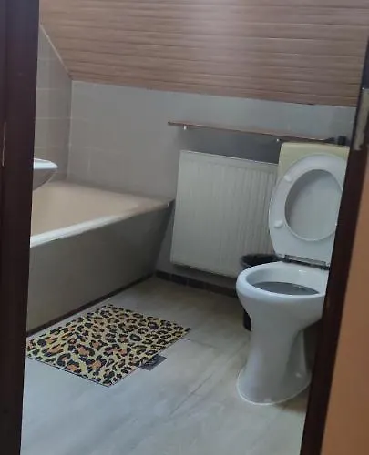 Fecskefeszek Nyaralohaz