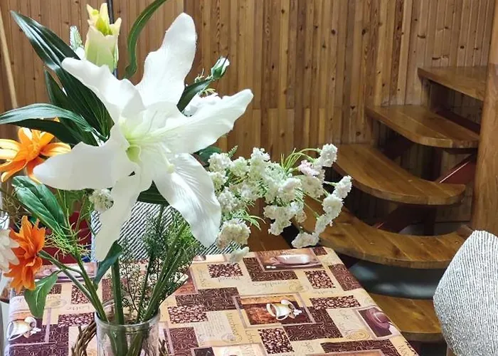 Fecskefeszek Nyaralohaz Hajdúszoboszló