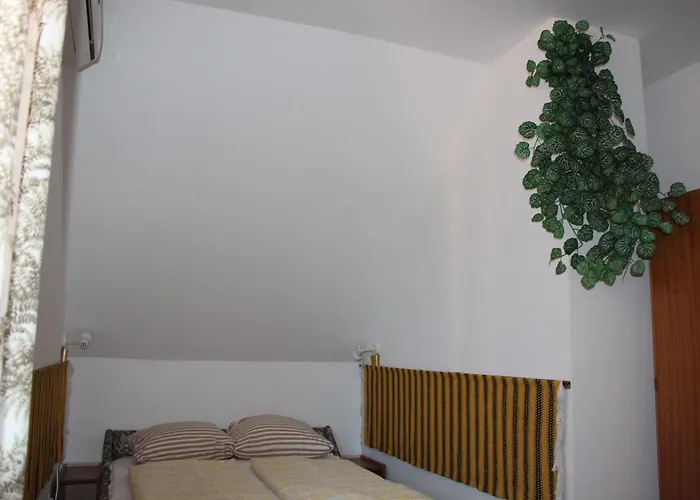 Fecskefeszek Nyaralohaz *